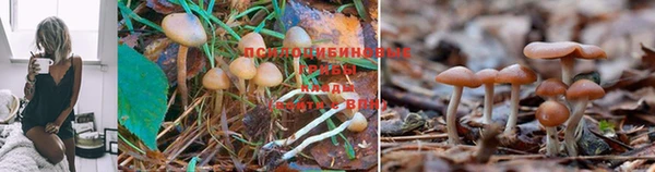 не бодяженный Гусь-Хрустальный