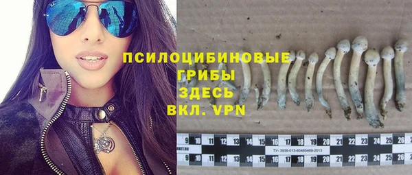 не бодяженный Гусь-Хрустальный