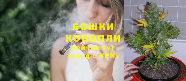 бошки Дмитриев