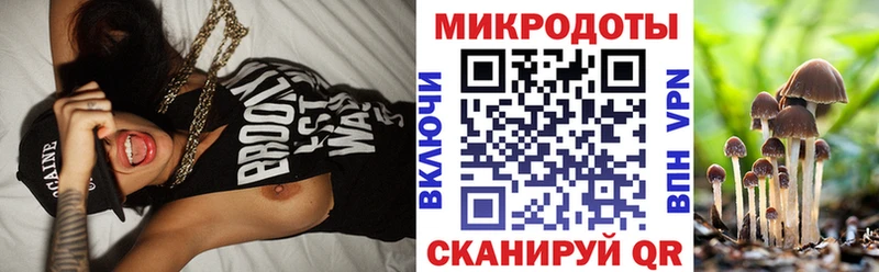 как найти закладки  Жердевка  Псилоцибиновые грибы Psilocybe 